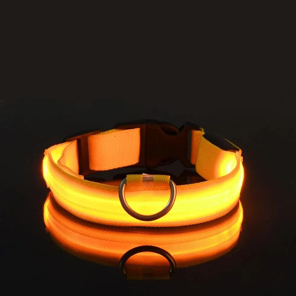 LED Glow Dog Collar & Leash Set – Nylon Luminous Reflective Safety Flashing Night Light for Pets