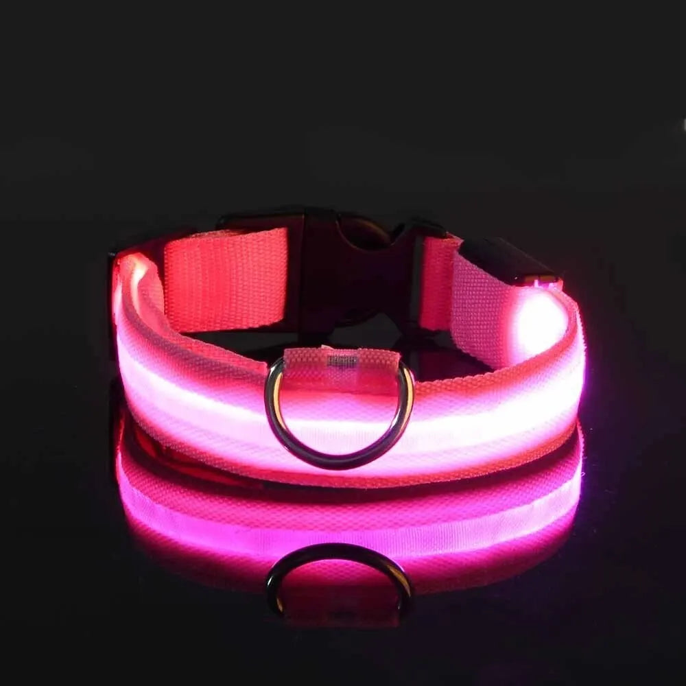 LED Glow Dog Collar & Leash Set – Nylon Luminous Reflective Safety Flashing Night Light for Pets
