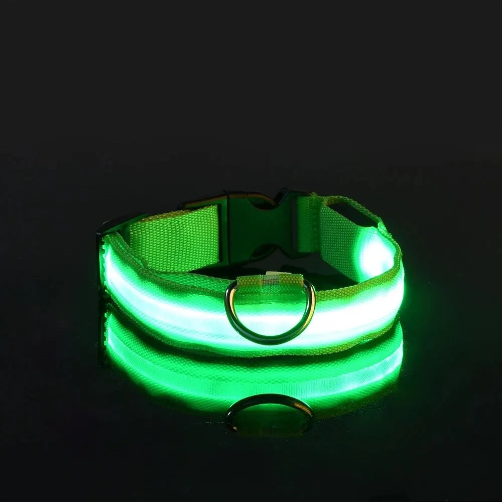 LED Glow Dog Collar & Leash Set – Nylon Luminous Reflective Safety Flashing Night Light for Pets