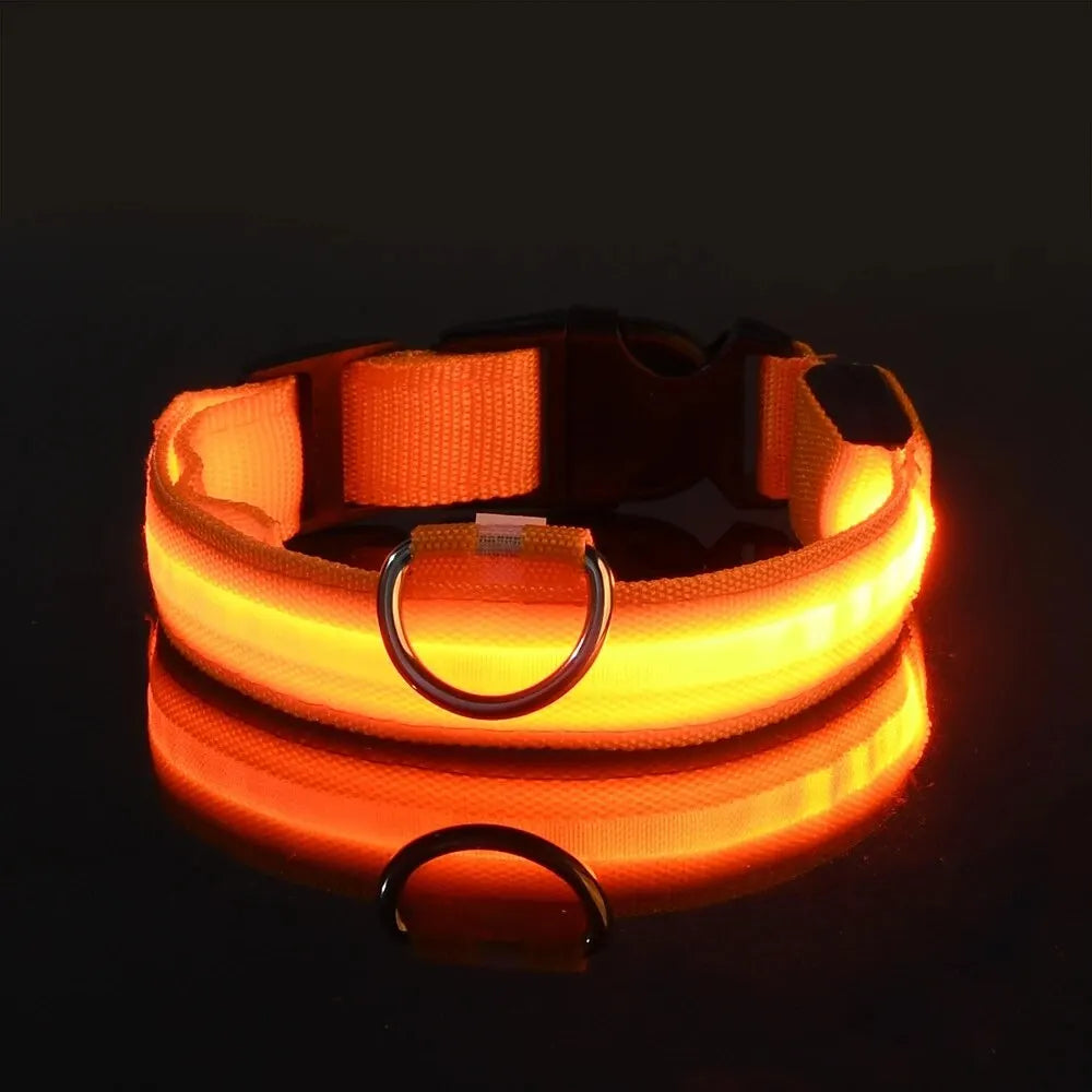 LED Glow Dog Collar & Leash Set – Nylon Luminous Reflective Safety Flashing Night Light for Pets