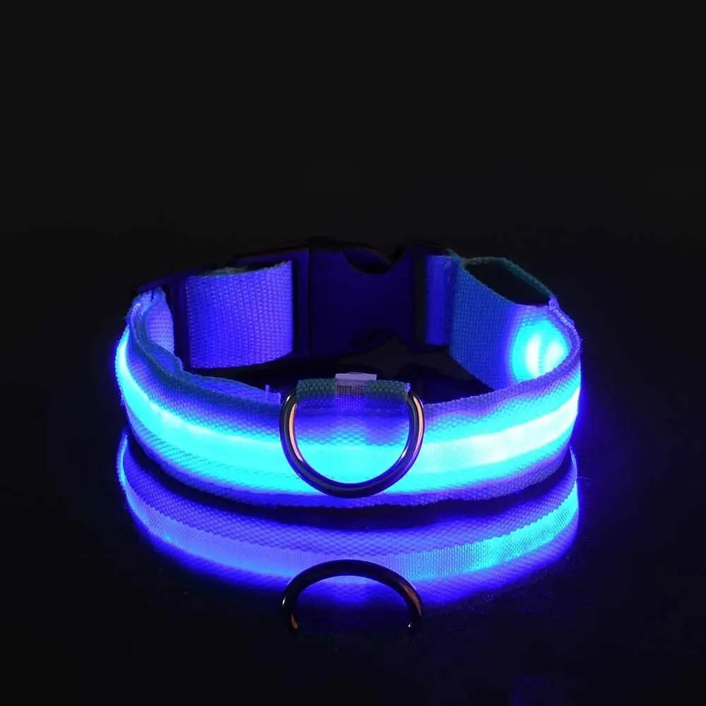 LED Glow Dog Collar & Leash Set – Nylon Luminous Reflective Safety Flashing Night Light for Pets