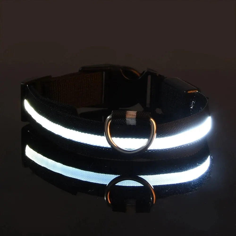 LED Glow Dog Collar & Leash Set – Nylon Luminous Reflective Safety Flashing Night Light for Pets