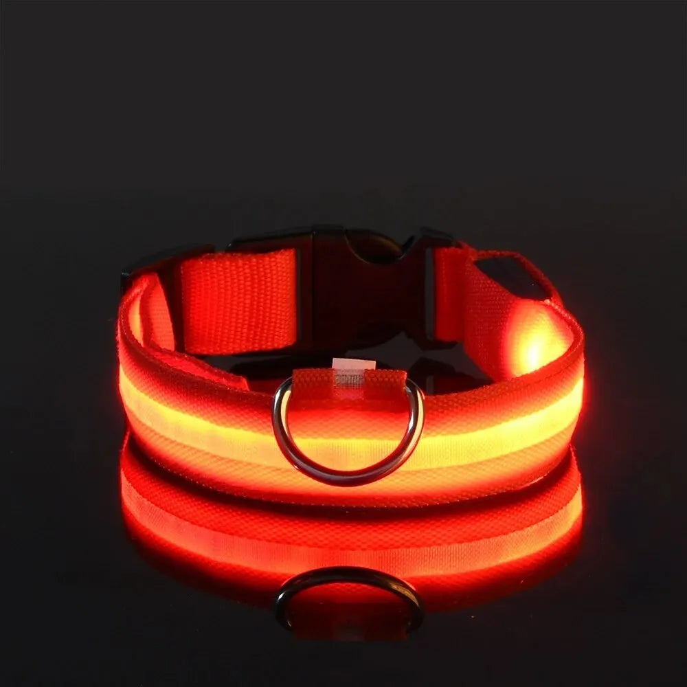 LED Glow Dog Collar & Leash Set – Nylon Luminous Reflective Safety Flashing Night Light for Pets