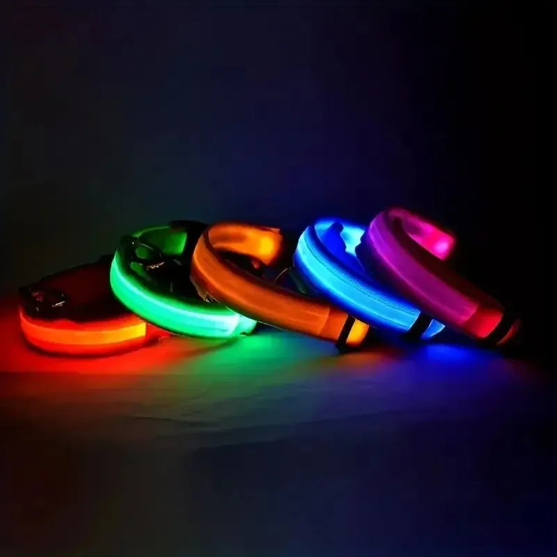 LED Glow Dog Collar & Leash Set – Nylon Luminous Reflective Safety Flashing Night Light for Pets