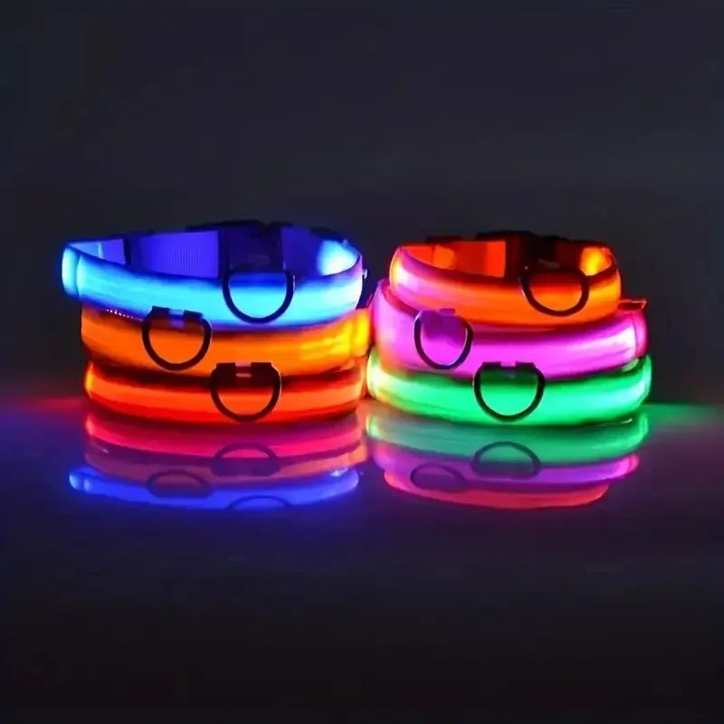 LED Glow Dog Collar & Leash Set – Nylon Luminous Reflective Safety Flashing Night Light for Pets